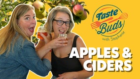 Apple orchard hard ciders: Taste Buds