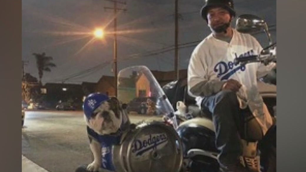 2 French bulldogs stolen at gunpoint on 6th Street Bridge in LA
