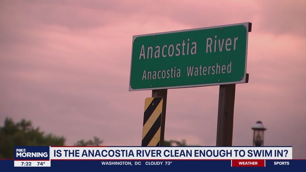 Would you swim in the Anacostia River?