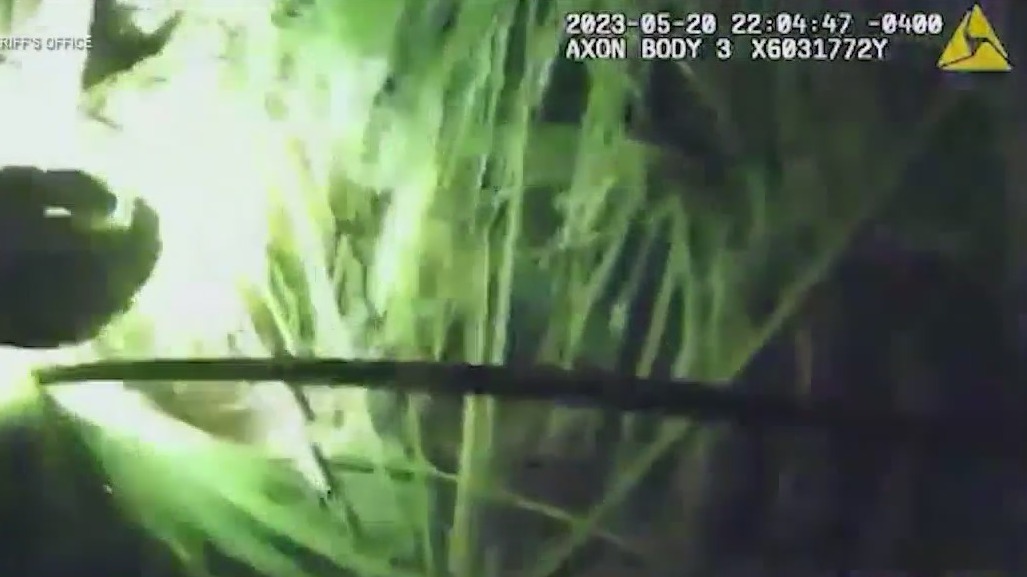 K-9 'Brewski' helps catch hit-and-run suspect