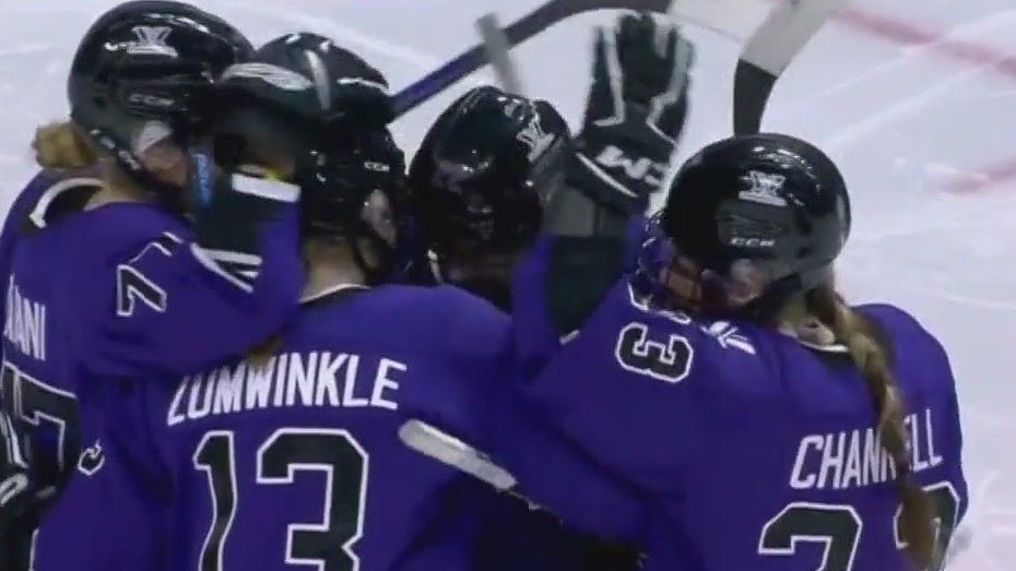 PWHL Sets Attendance Record For Women's Hockey | FOX 9 Minneapolis-St. Paul