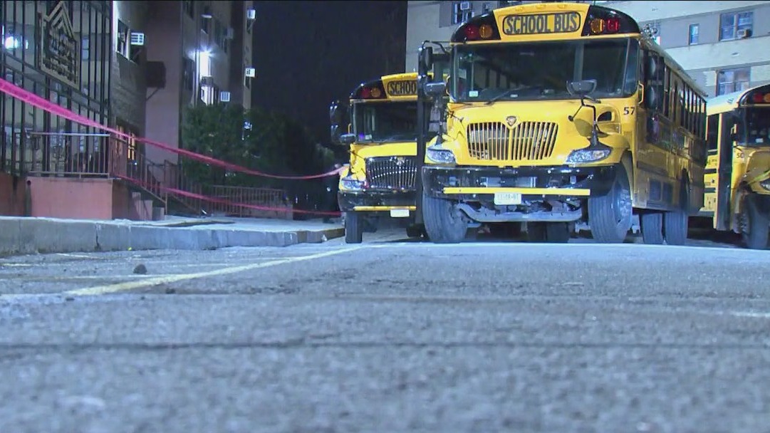 Child fatally struck by school bus