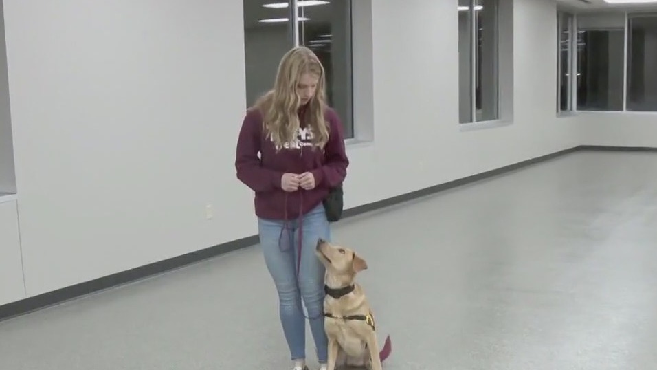 Service dog training center opens in Greenfield, MN