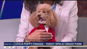 Utica Puppy Parade
