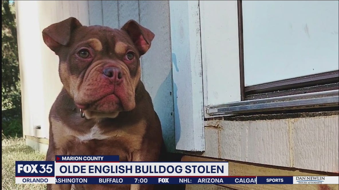 Marion County dog theft caught on video