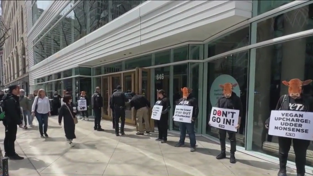 PETA: Some protesters arrested outside Chicago Starbucks