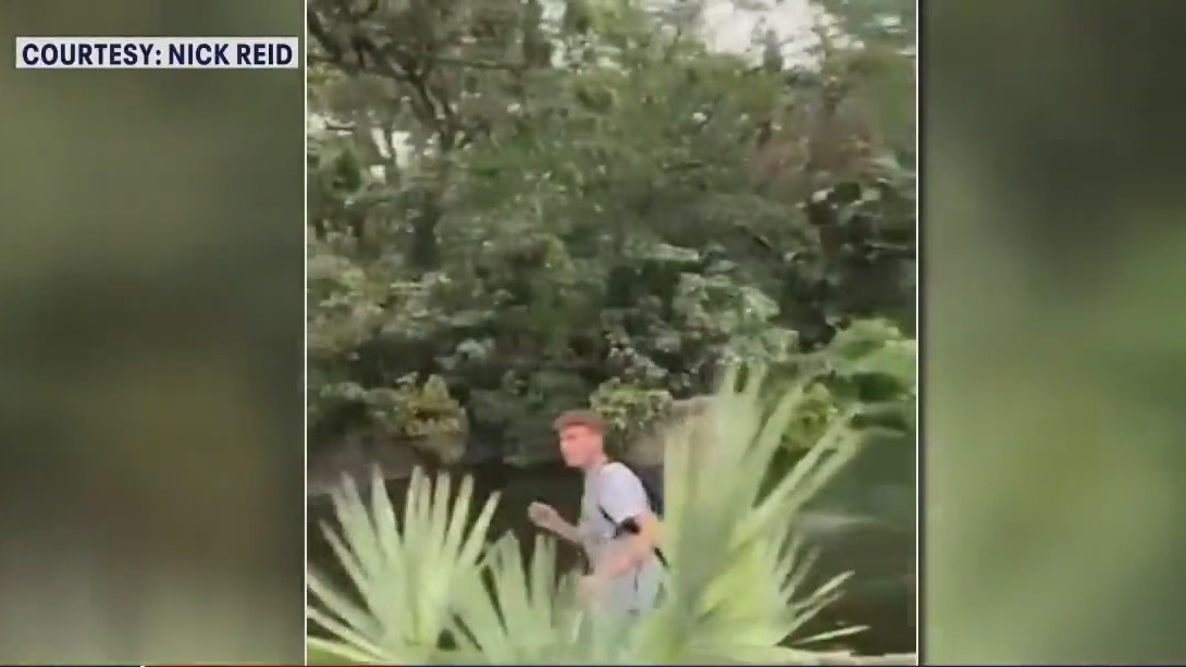 Man who jumped into gator enclosure arrested