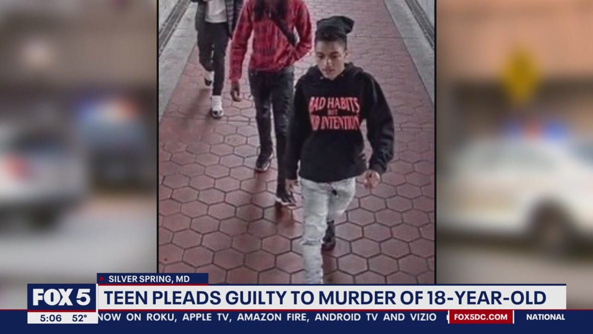 16-year-old pleads guilty to murdering 18-year-old at Wheaton Metro Station