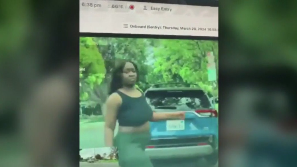 Woman caught throwing bricks at cars