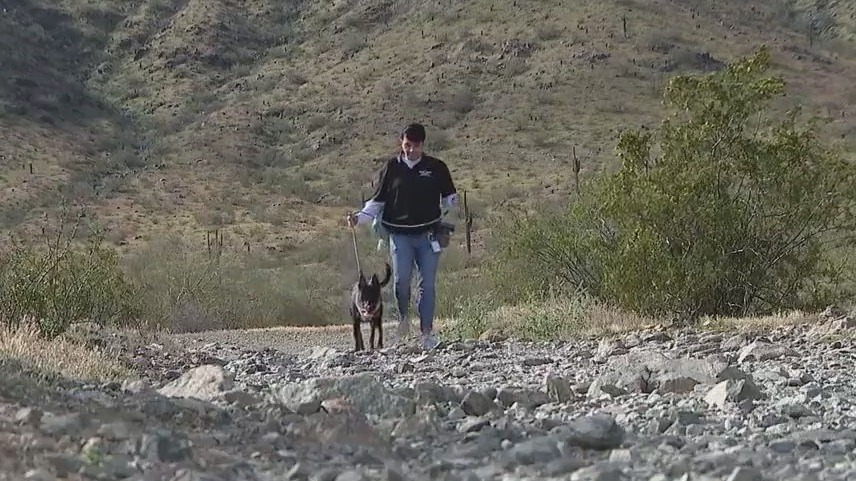 Take a Maricopa County shelter dog on a walk