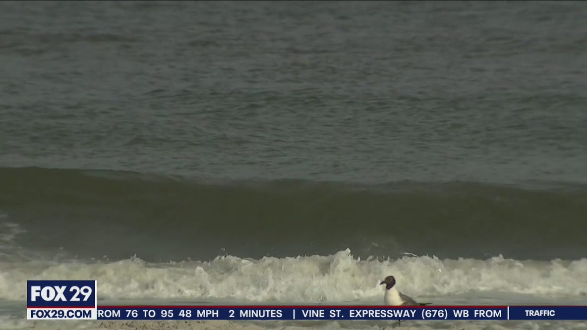 Woman hospitalized after trying to rescue her children from ocean in Brigantine