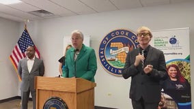 Cook County small businesses can apply for new grant