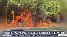 How El Niño might impact wildfire season
