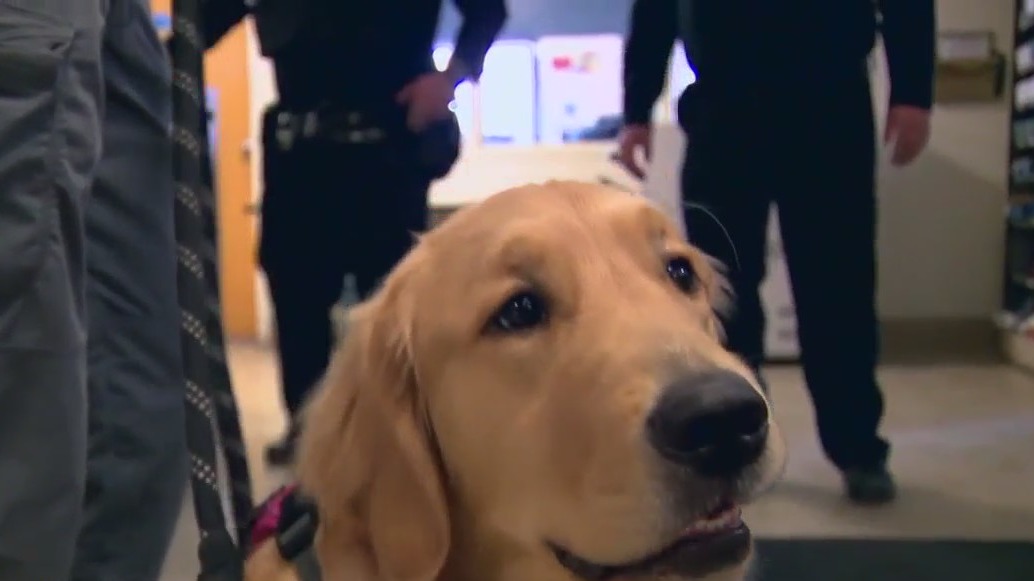 Milwaukee police dog helps officers process pain: 'Difficult time'