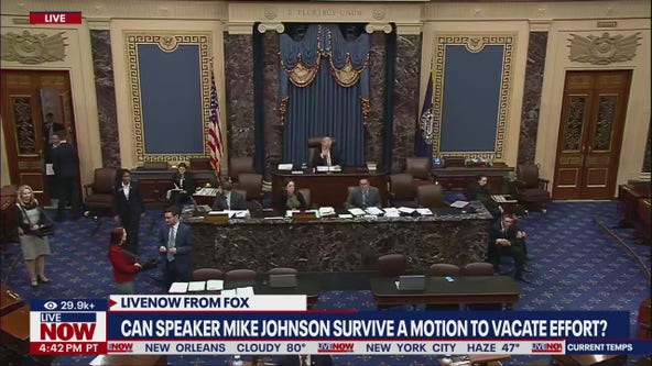 Mike Johnson: Can he survive motion to vacate?