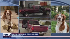 Police searching for stolen truck and dog in Buckley