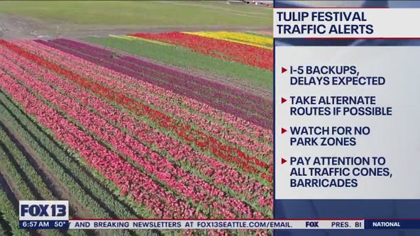 Tulip festival traffic alerts