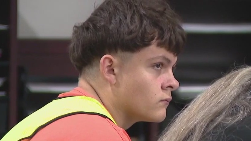 Teen deadly shooting suspect appears in court
