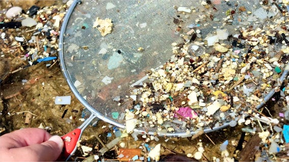 Popular beers found with high levels of dangerous 'forever chemicals,' study reveals