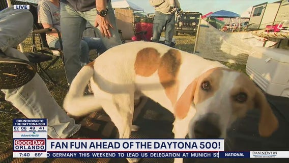 Fan fun ahead of Daytona 500