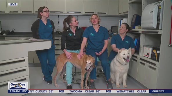 Kirkland's L&L Animal Urgent Care closing gap in veterinary care