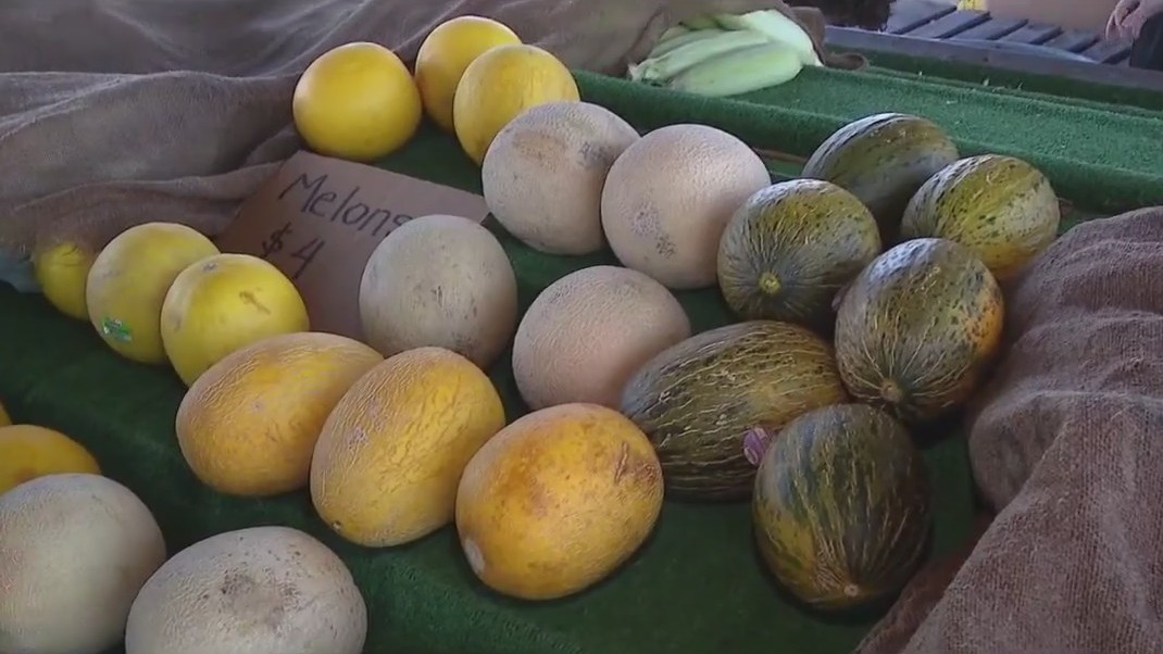 Freeman Corn Patch in Mesa opens its vegetable stand