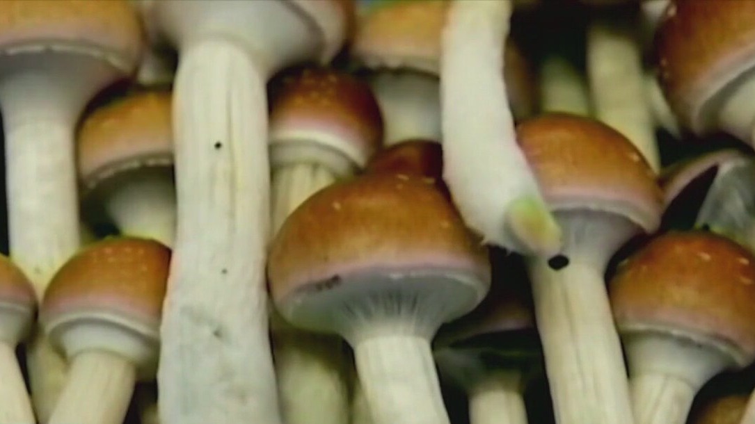 Are psychedelics the future of treating veteran mental health?