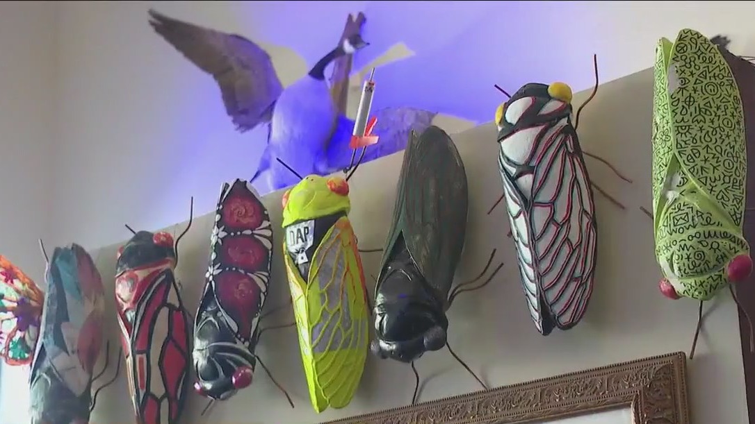 Cicada Parade-A: Giant sculptures swarm Chicago-area streets