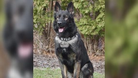 McHenry K9 officer locates suspect of home invasion