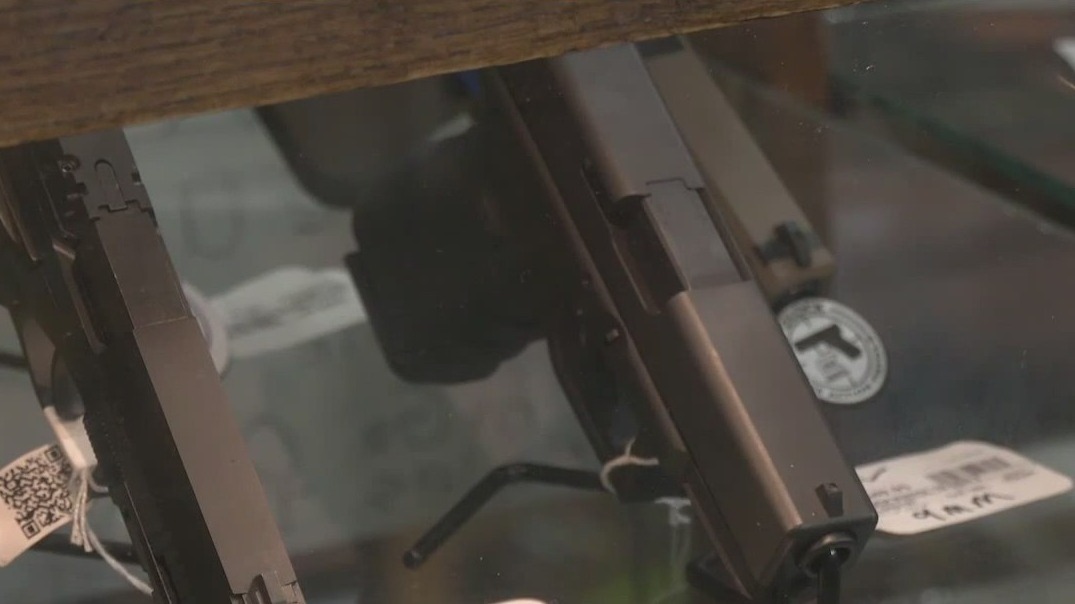 Florida lawmakers propose 'constitutional carry' bill