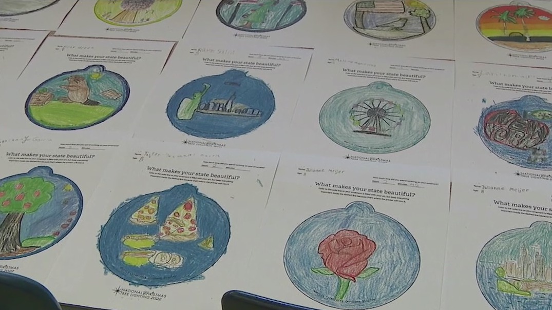 Long Island student's ornaments picked for White House Christmas tree