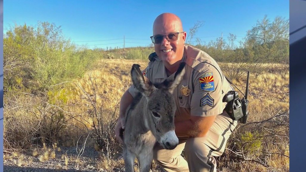 Arizona DPS sergeant helps save baby burro