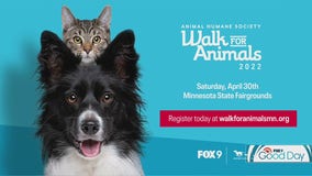 Join us for 2022's Walk for Animals with the Animal Humane Society