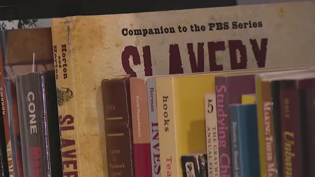 Florida students sue state for rejecting AP African American studies