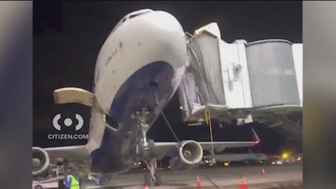 Bird strike disables jetliner engine, forces emergency landing at JFK airport