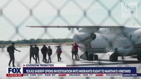 Sheriff opens criminal investigation after migrant flights to Martha's Vineyard | LiveNOW from FOX