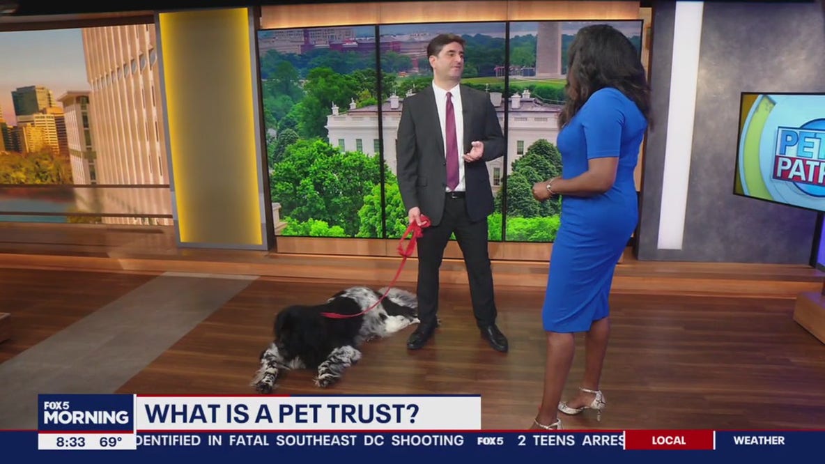 Pet Trusts and caring for your pet after you're gone