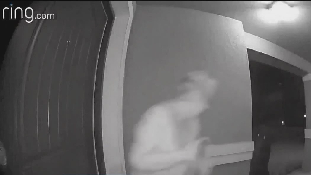 Bears getting comfortable in Central Florida