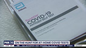 On the hunt for at-home COVID-19 tests