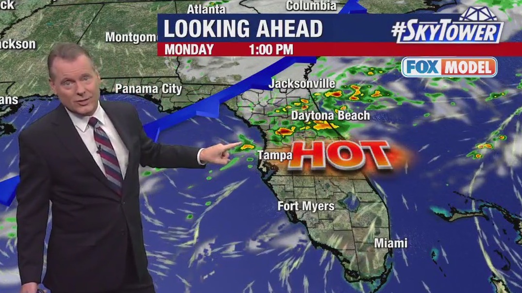 Tampa weather | sunny, warm weekend in store