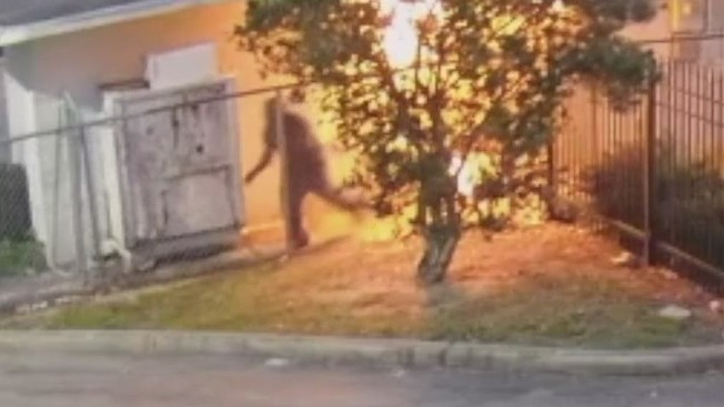 Video shows arson suspect running from Goff's ice cream shop in Orlando, police say