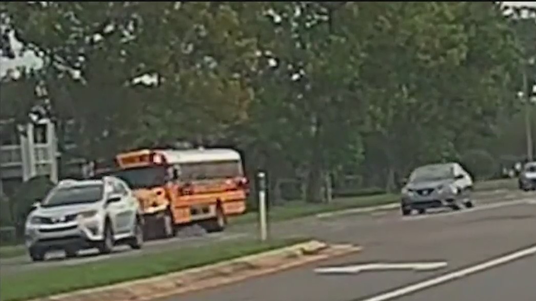 Drivers ignoring stopped school buses