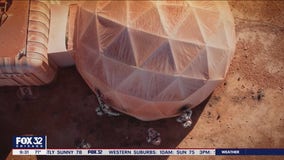 Celebronauts experience first emergency on 'Stars on Mars'