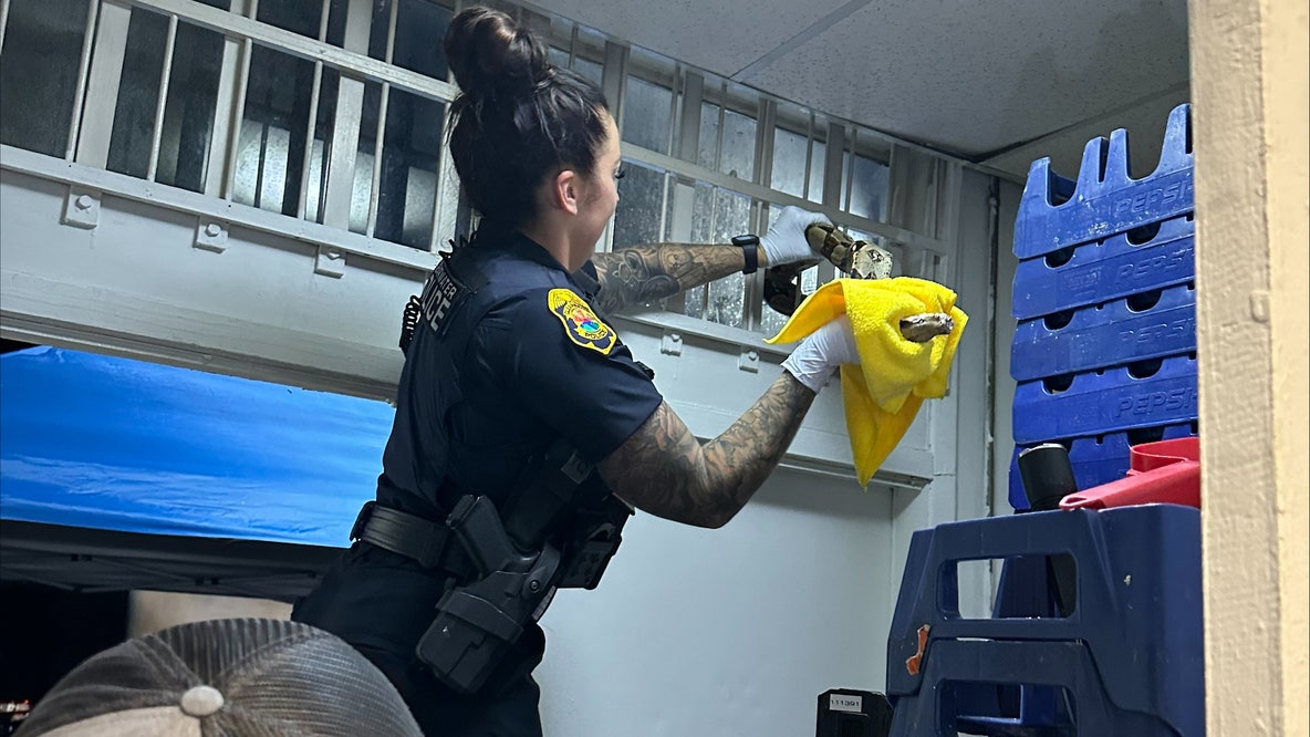 Clearwater officer captures snake