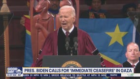 President Biden calls for 'immediate ceasefire' in Gaza