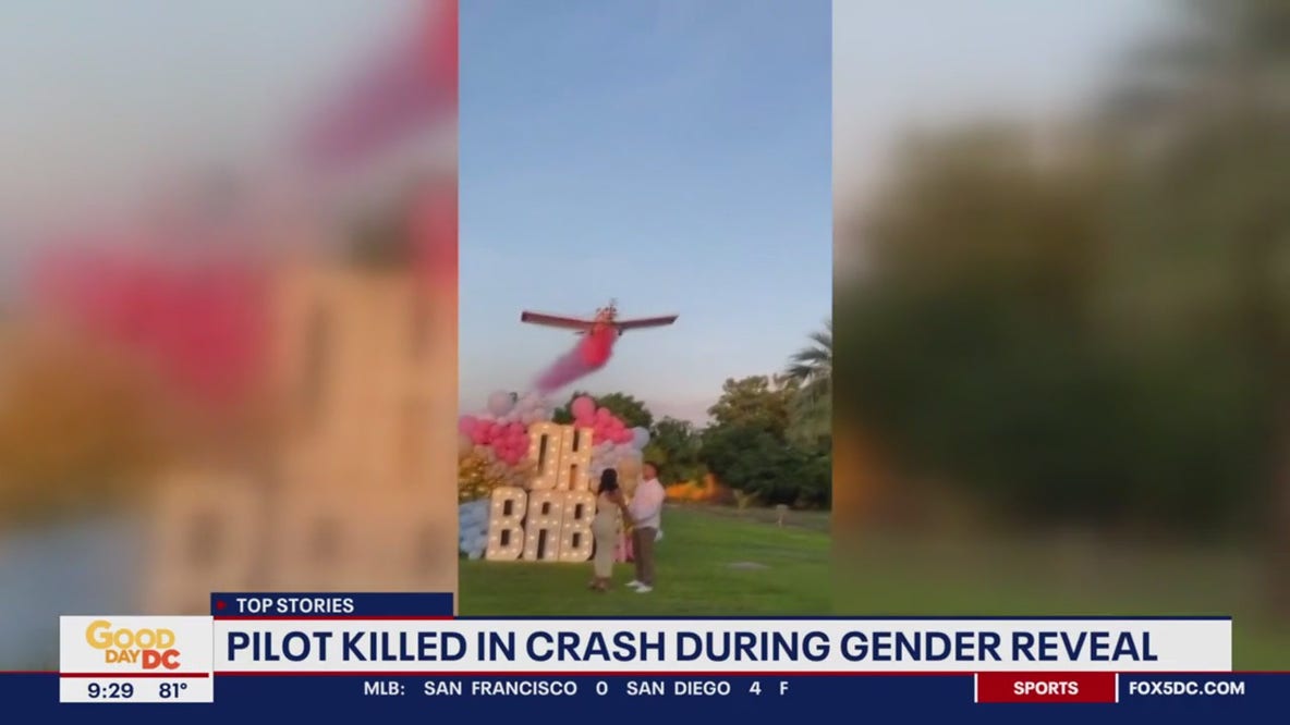 Pilot died during gender reveal