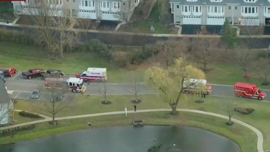 Rescue teams pull two children out of a pond in Palatine