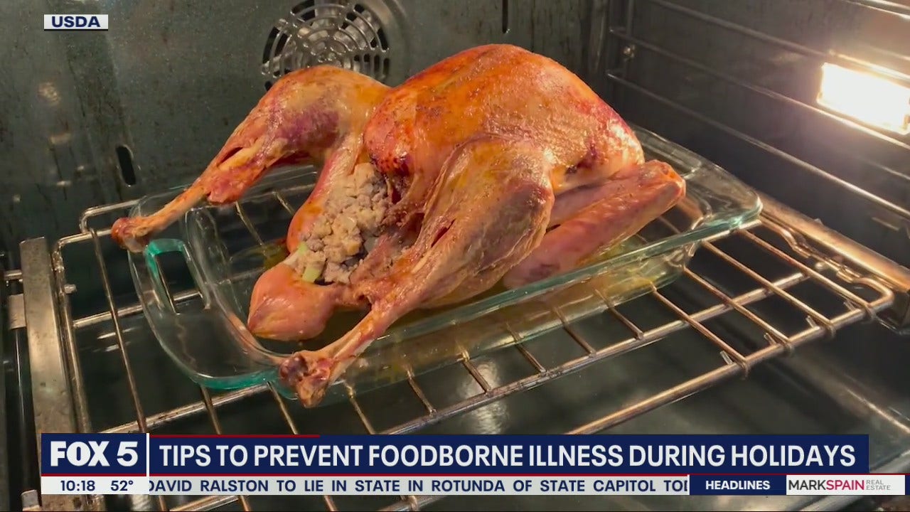 Thanksgiving Food Safety Tips With USDA Expert Karen Hunter FOX 5 Atlanta thanksgiving-food-safety-tips-with-usda-expert-karen-hunter-fox-5-atlanta