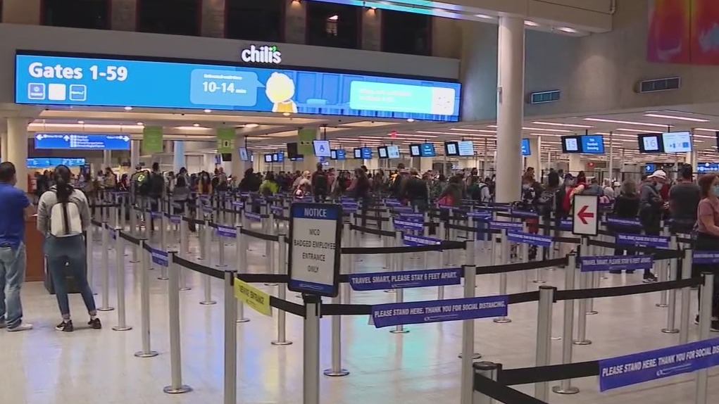 'Panic mode': Florida woman has to rebook trip after Hawaiian Airlines canceled it