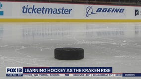 Hockey 101: The Puck